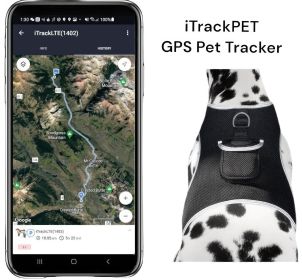Waterproof GPS Tag Pet Tracker Realtime Security Surveillance System Size:M