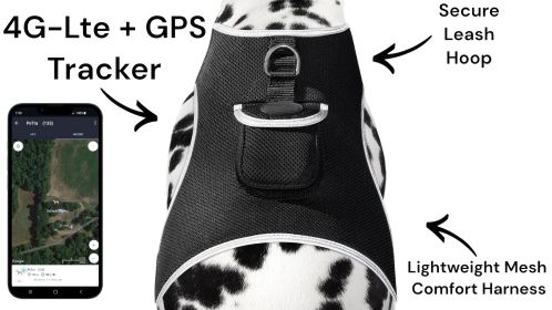 NEW Portable Waterproof GSM GPS Pet Tracking Tag w/ Realtime Phone App Size:XS
